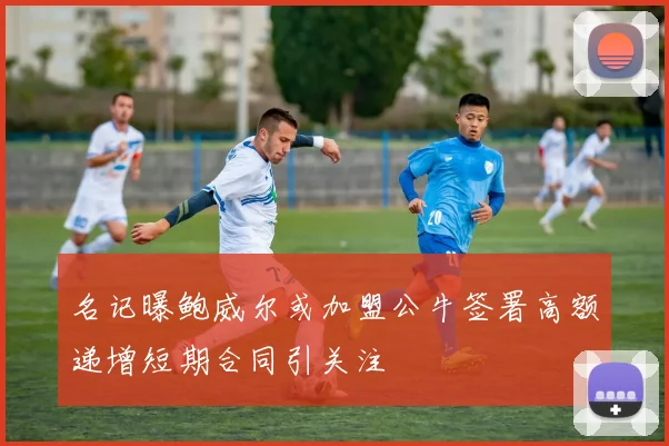 名记曝鲍威尔或加盟公牛签署高额递增短期合同引关注